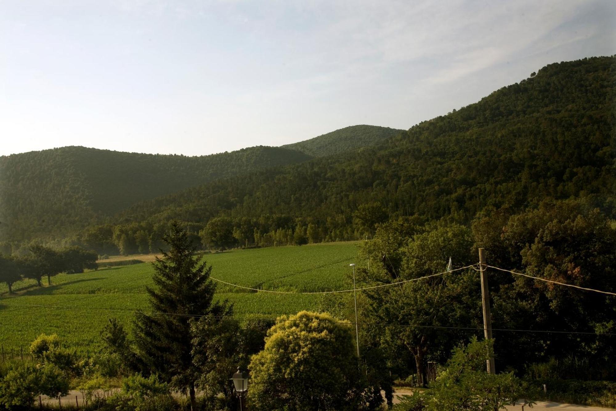 Villa Amedeo Rosia Szoba fotó
